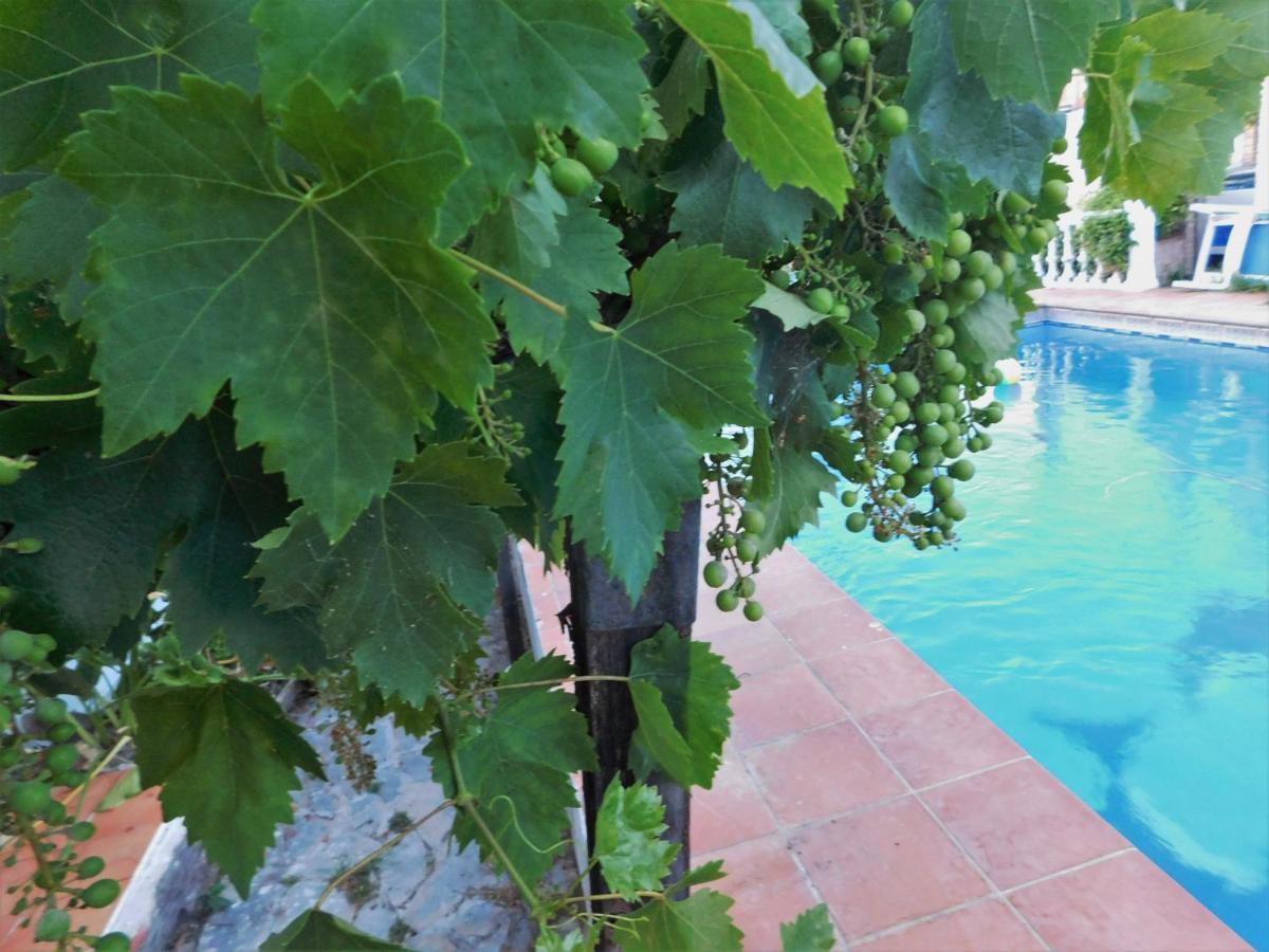Bungalow Marbella  Exterior foto