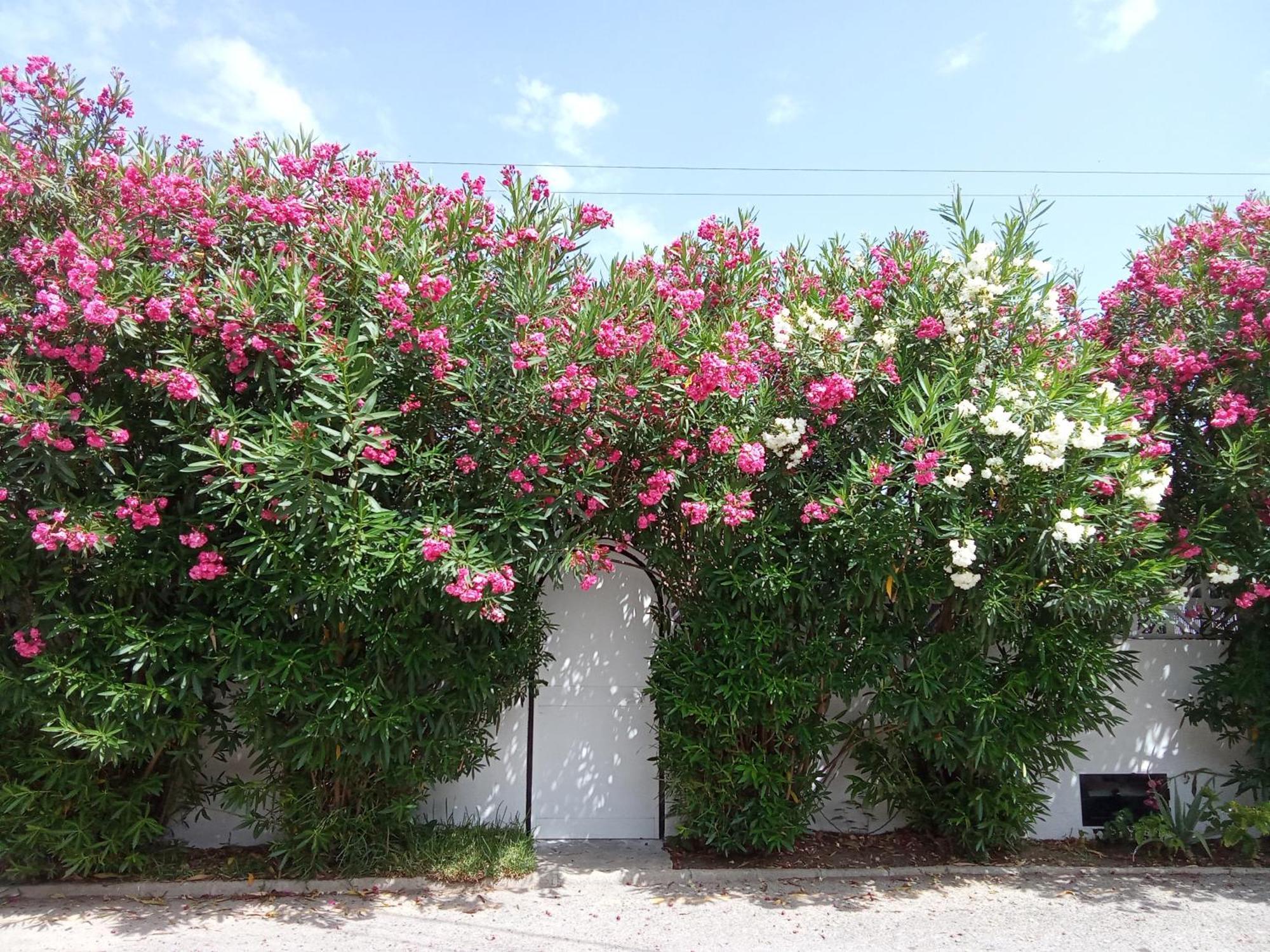 Bungalow Marbella  Exterior foto